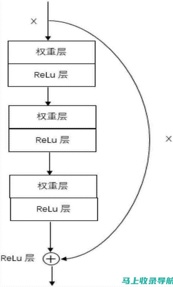 深度解析：Bilibili站长的身份及其影响力